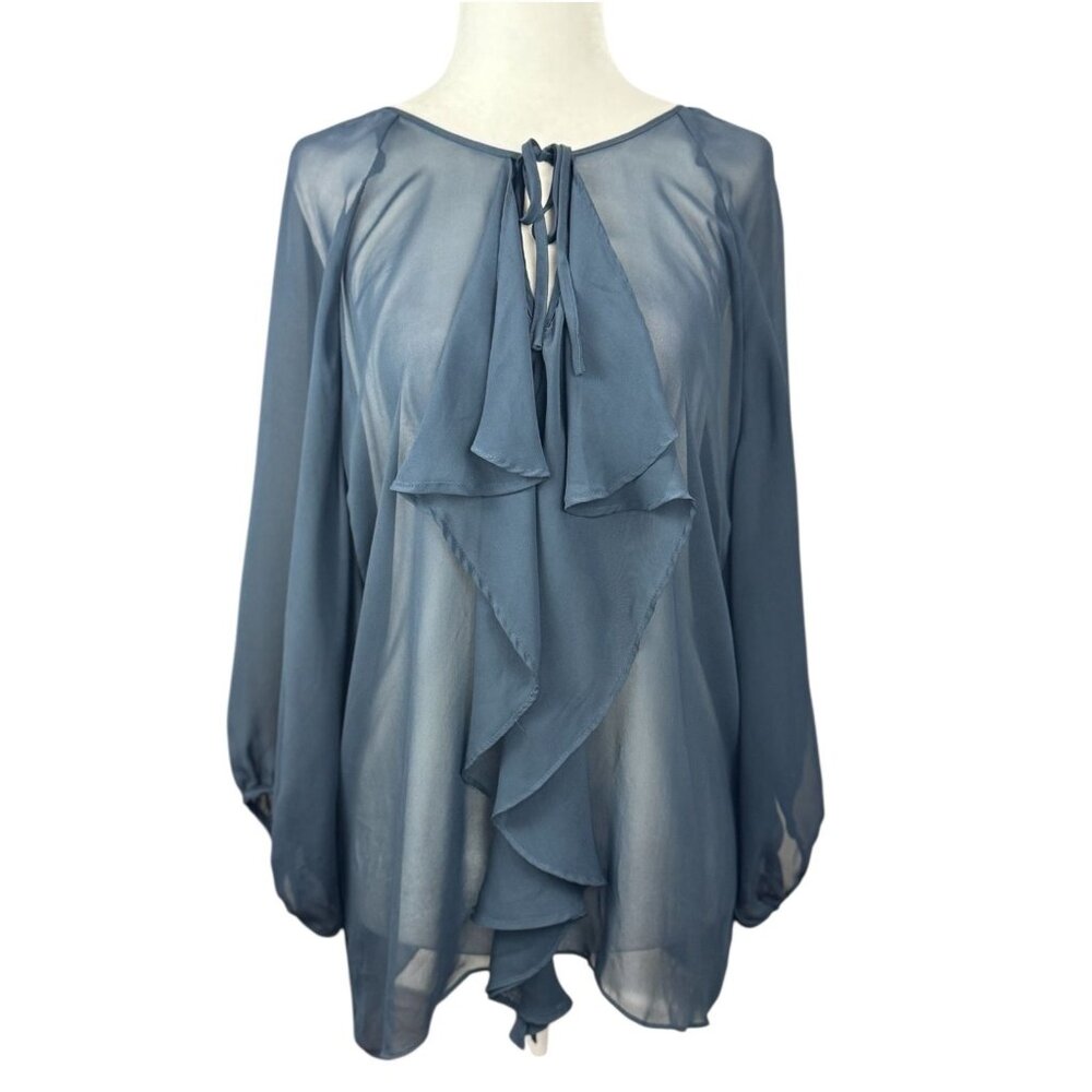 AQUA Sheer Blue Ruffle Blouse Womens M Long Sleeve Chiffon Top Romantic Boho
